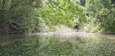 Keppel Hill Reservoir