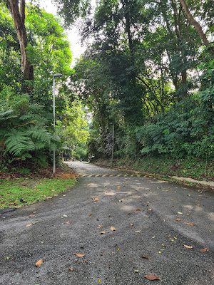 Bukit Batok Nature Park