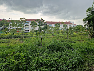Tampines Eco Green