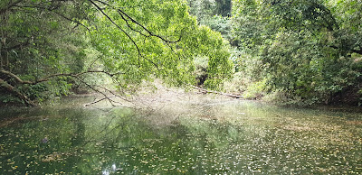 Keppel Hill Reservoir