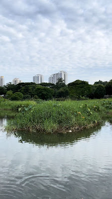 Bishan-Ang Mo Kio Park