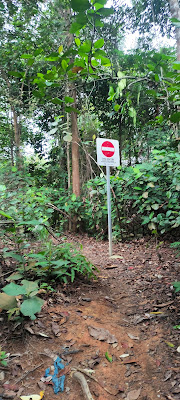 Mandai T15 Trail