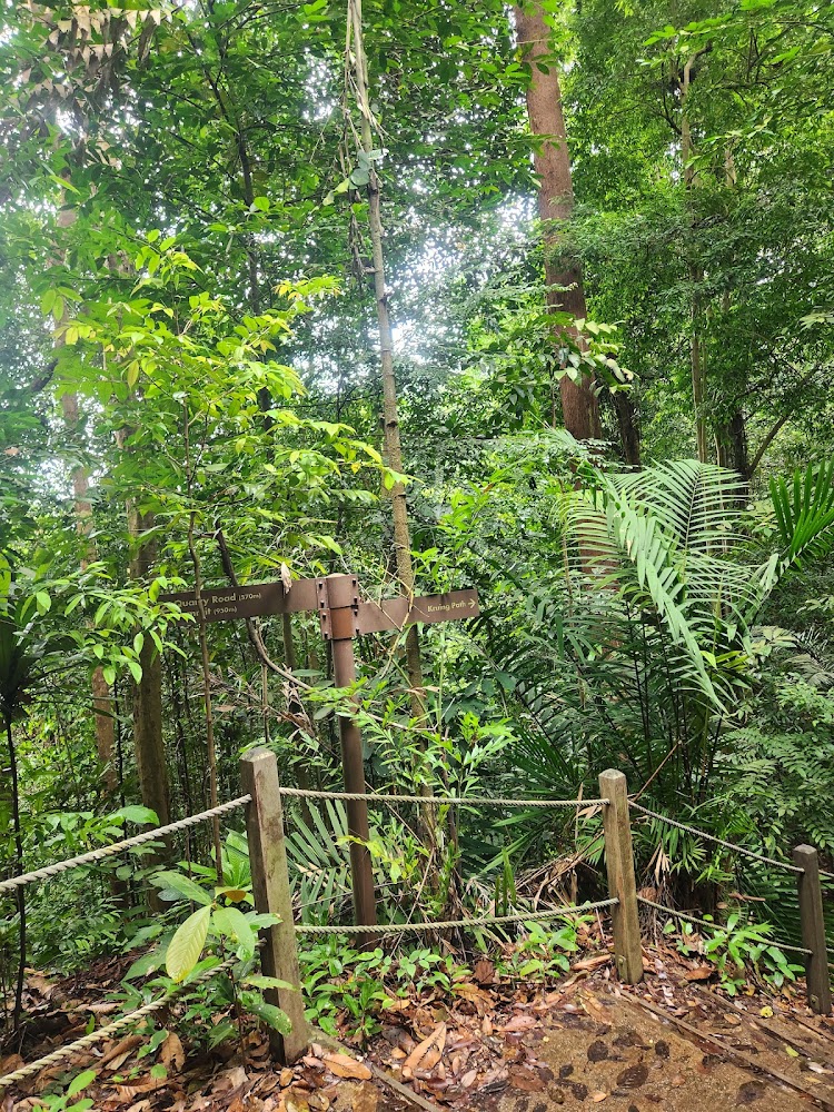 Bukit Timah Nature Reserve