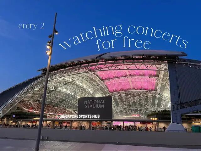 watching concerts for free *ੈ‧₊˚