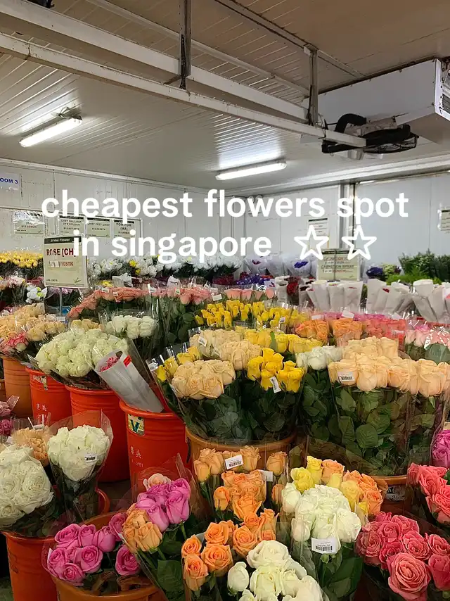 cheapest flowers spot in singapore