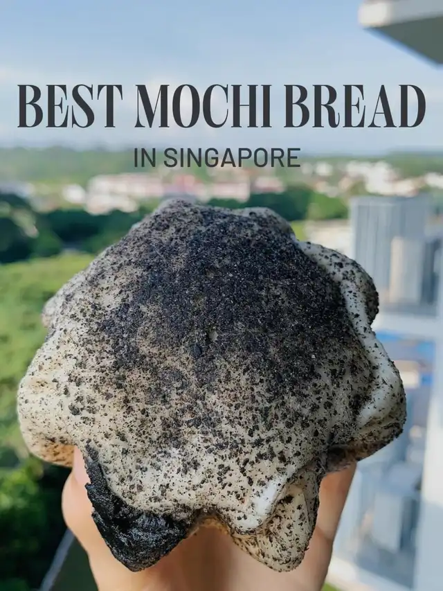 MOCHI BREAD YOU HAVE TO GET YOUR HANDS ON !!!