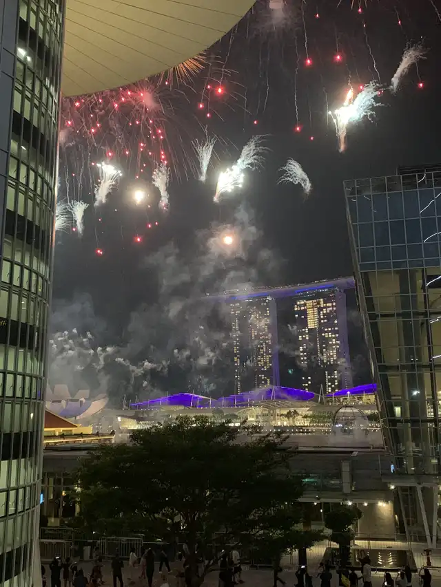 Watch NDP Fireworks without the crowd!