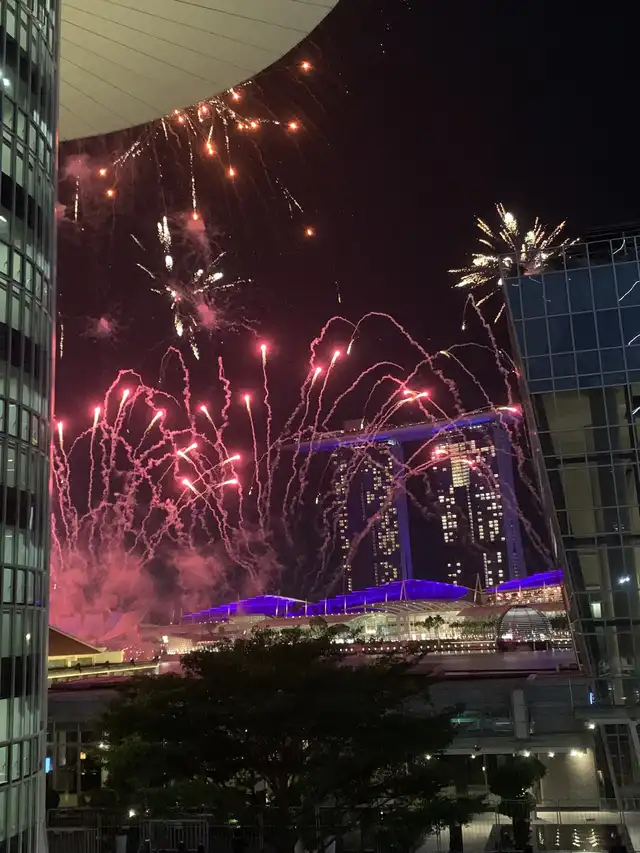 Watch NDP Fireworks without the crowd!