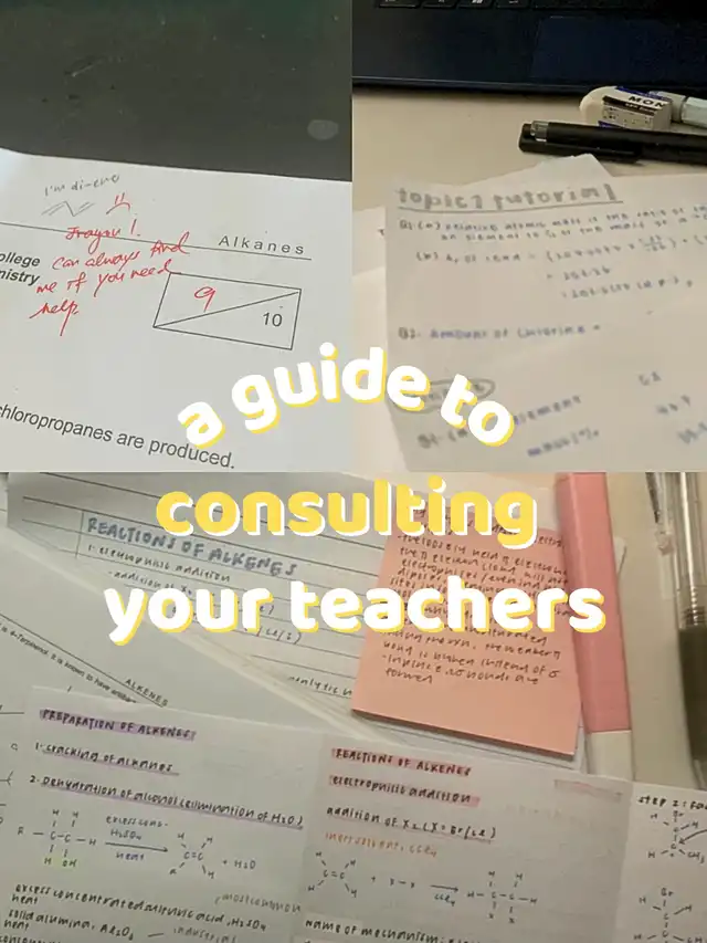 should you go for consultations with your teacher?