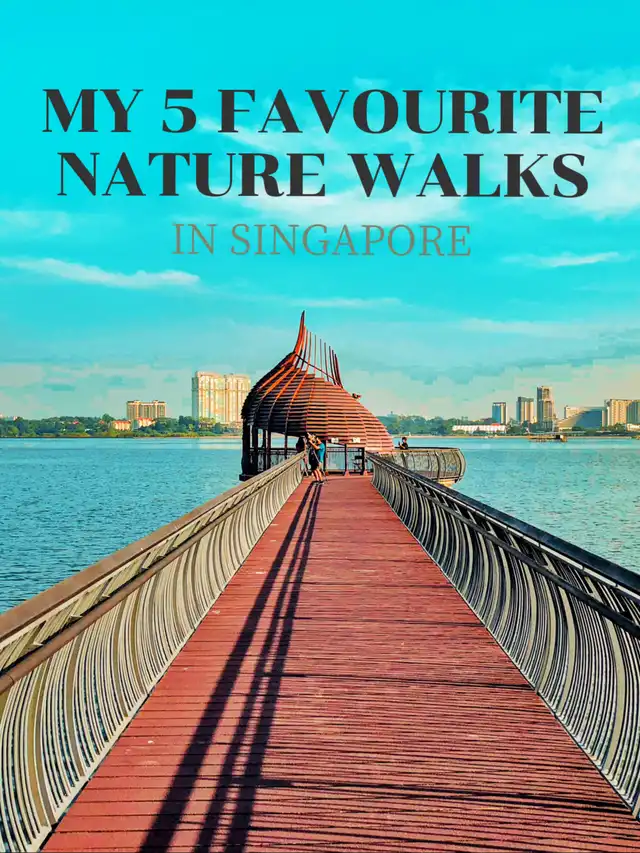 My 5 FAVOURITE nature walks in SG! ‍️