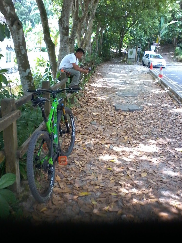 Bukit Timah MTB Trail