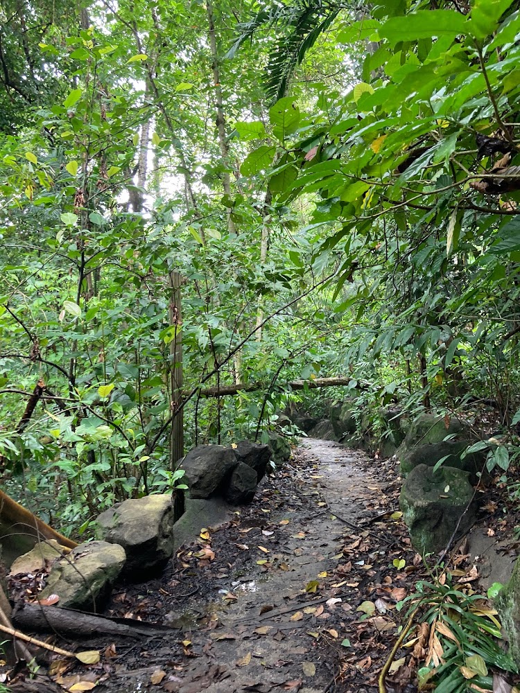Bukit Batok Hillside Park